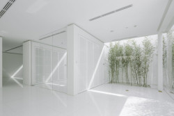 Bamboo Forest, V Studio
