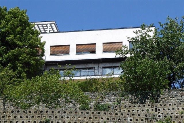 Vila na Barrandově, Leo Mayer