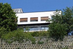 Vila na Barrandově, Leo Mayer