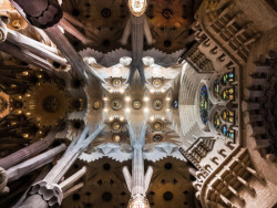 Antoni Gaudí, chrám Sagrada Família: pokračuje i po sto čtyřiceti letech.