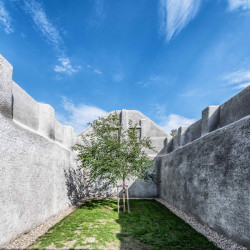 Moruše uprostřed místnosti bez stropu a bez střechy jako symbol svobody, naděje a síly rodu Mašínů