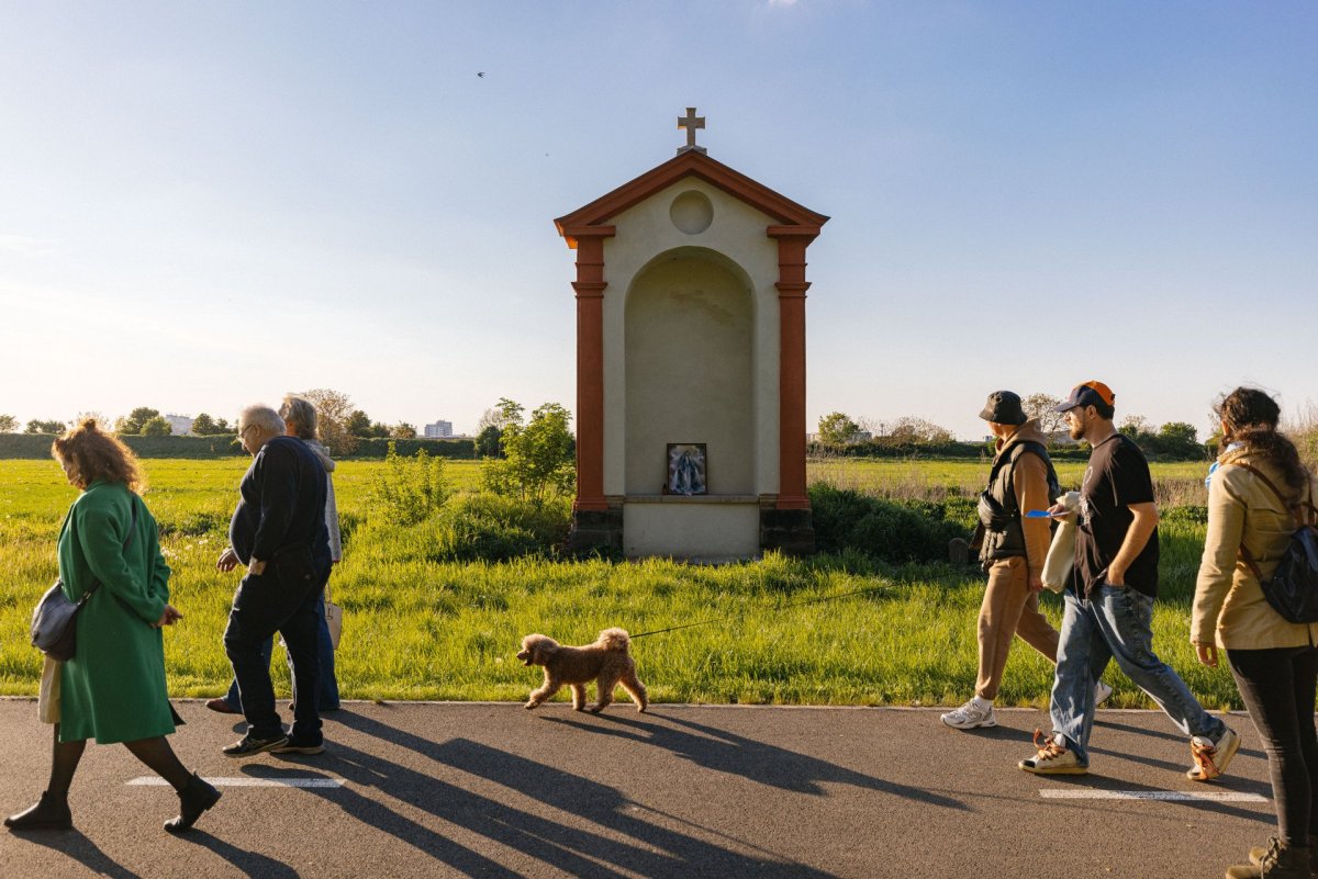 V Letňanech by měla vzniknout nová udržitelná městská čtvrť. Její územní studii zpracovává Institut plánování a rozvoje hl. m. Prahy