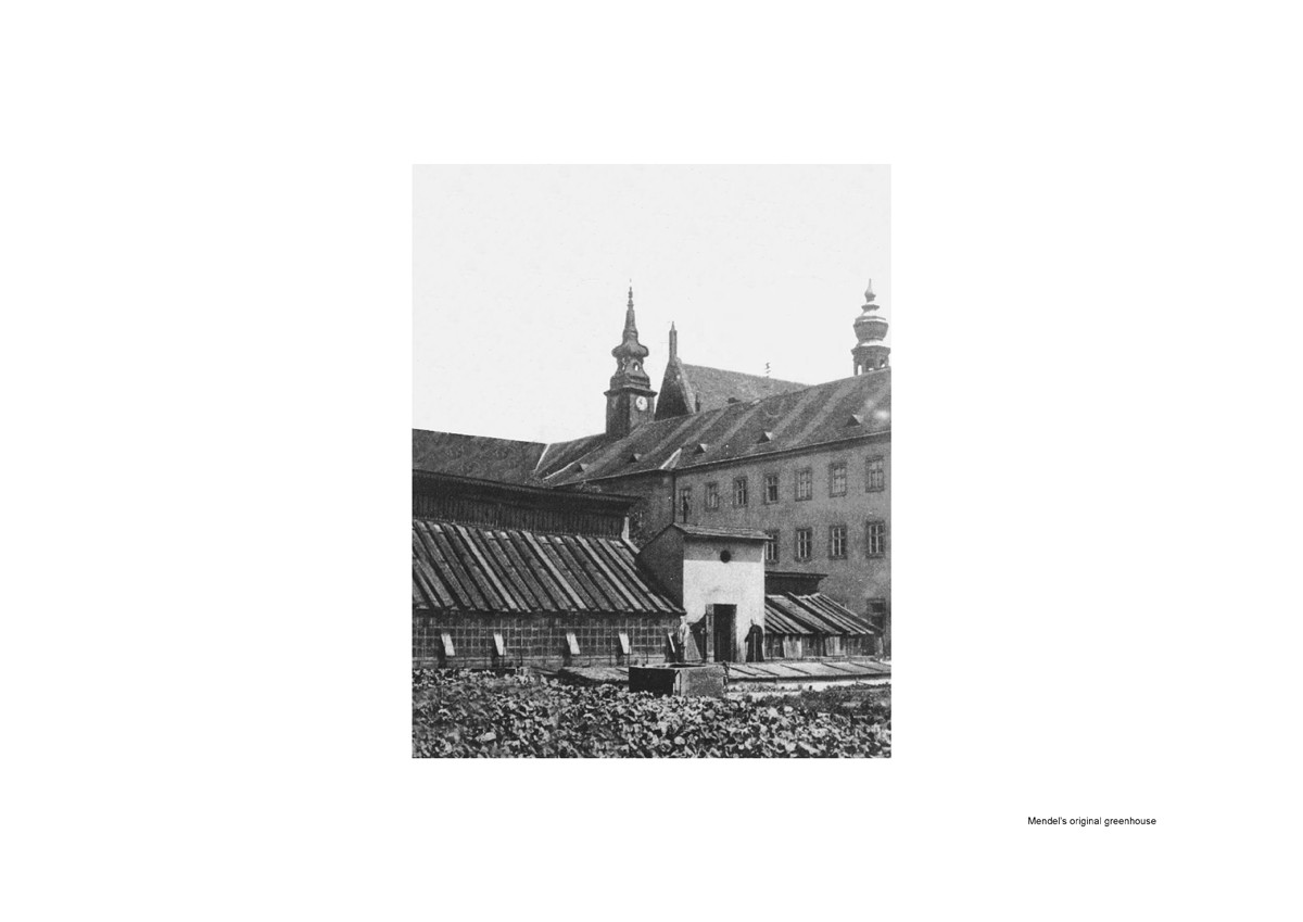 Mendelův původní skleník v Brně.