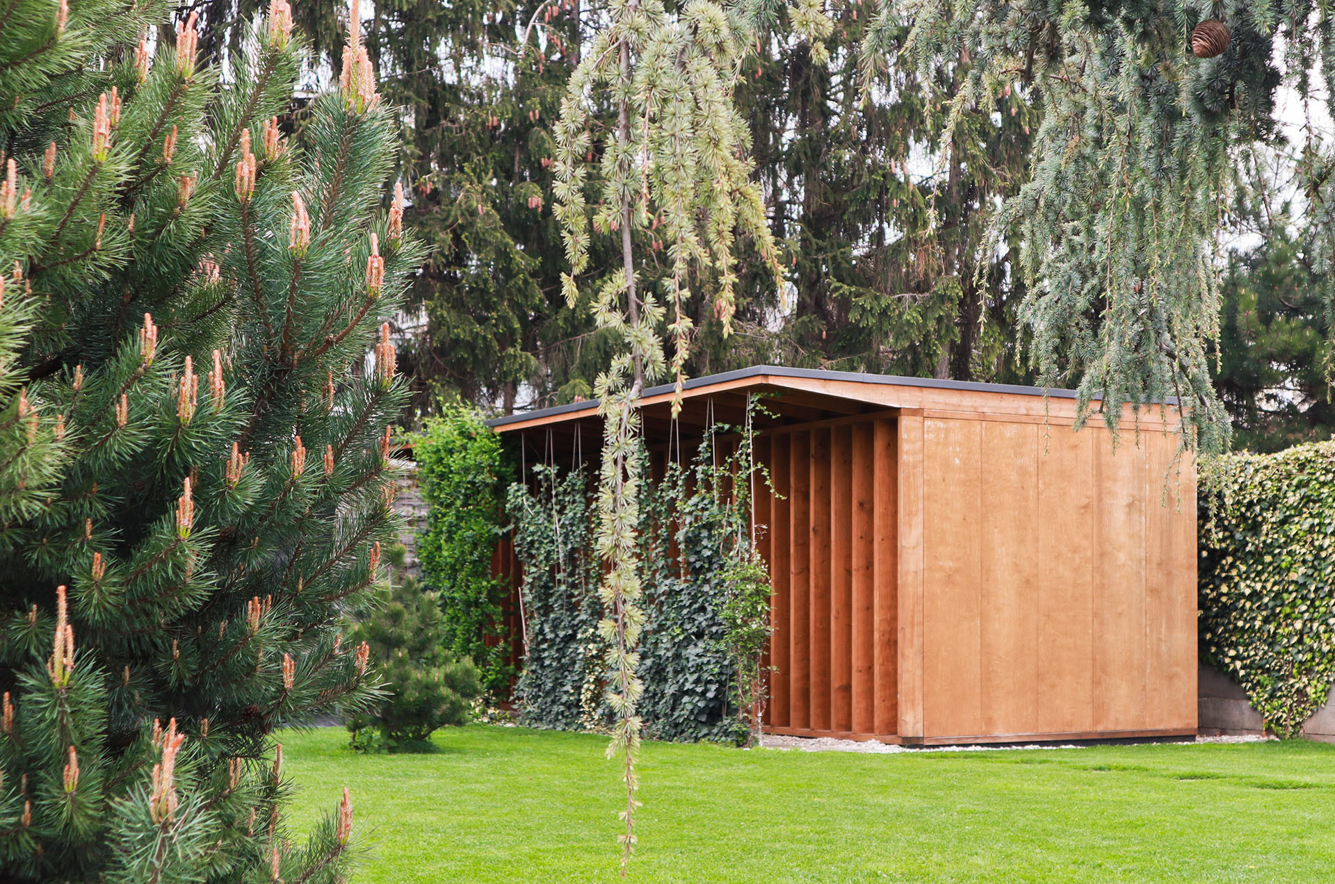 Finská sauna není jen místnost s horkým vzduchem. Je to celá filozofie spočívající v rovnováze mezi horkem a chladem, odpočinkem a intimními rozhovory. (Sauna, Adam Lukačovič)