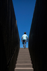 FCC Arquitectura & Paulo Lobo, Cella Bar - foto