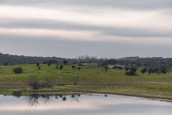 Dům u portugalského městečka Monsaraz, Aires Mateus