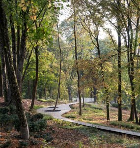Nad terénem zničeného hřbitova vede chodník...(SOA architekti, ateliér KONCEPT, Park historie v Aši)