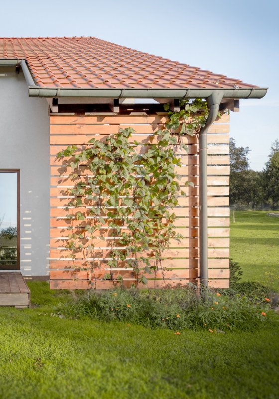 Dřevěný dům, Kateřina Škarková
