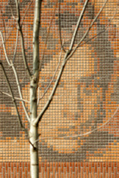 baukuh, House of Memory – foto