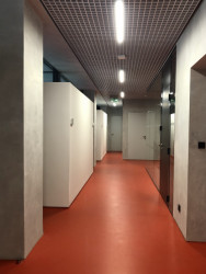 Architekti použili namísto běžného sádrokartonu mřížkový podhled