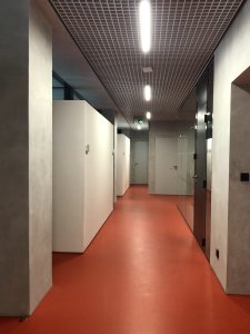 Architekti použili namísto běžného sádrokartonu mřížkový podhled