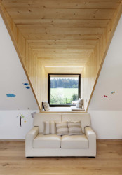 Rekonstrukce chalupy u Blaníku, OK Plan Architects