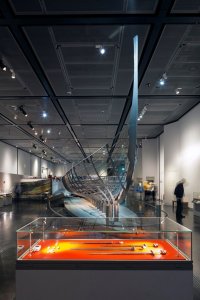 Nové křídlo Britského muzea, Rogers Stirk Harbour + Partners