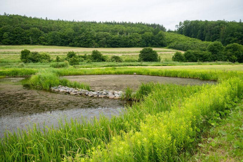 Zvláštní uznání poroty získal projekt obnova údolní nivy řeky Kyjovky