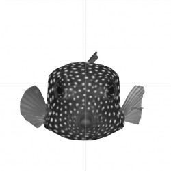 Optimalizace v přírodě a technice, Mirko Baum.