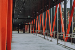 Orientarium v Lodži