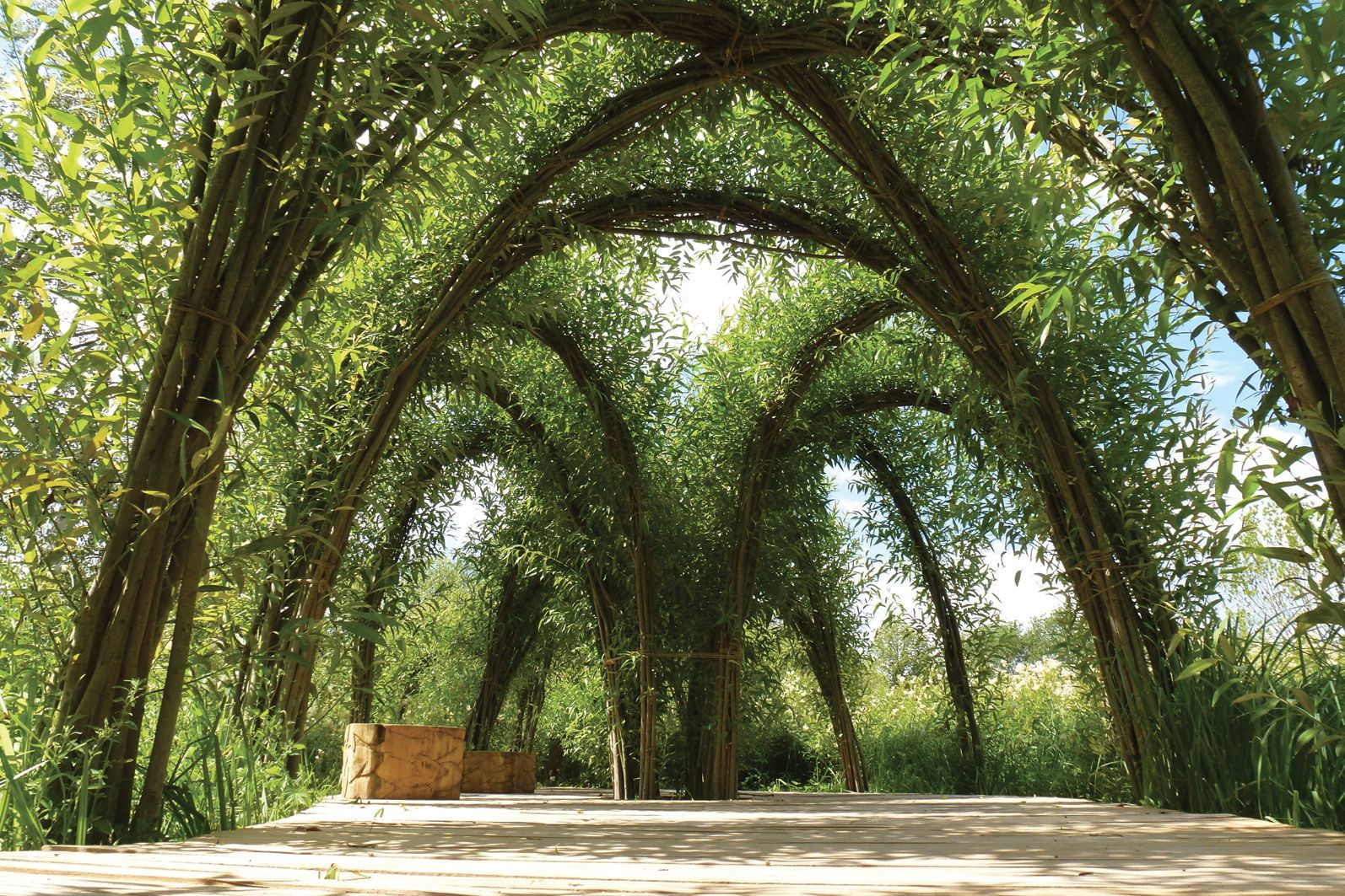 Vrbové konstrukce, Dřevěná stavba roku 2016