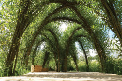 Vrbové konstrukce, Dřevěná stavba roku 2016