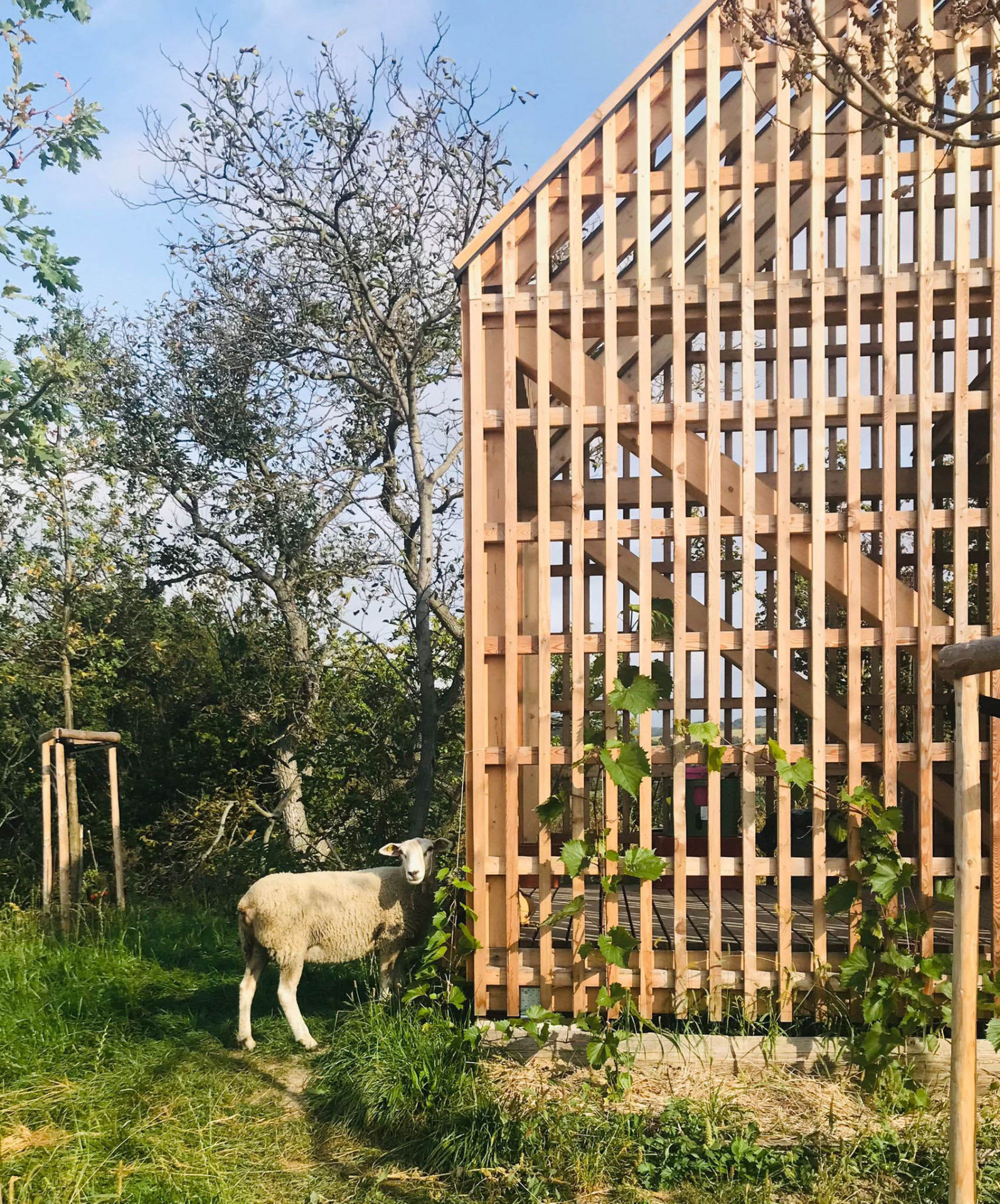 Viniční domek Velké Žernoseky od architekta Jana Žaloudka