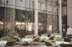 Orchideová zahrada na dobové fotografii.