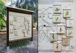 Naučná stezka v parku Štěpánka, přírodní lékárna