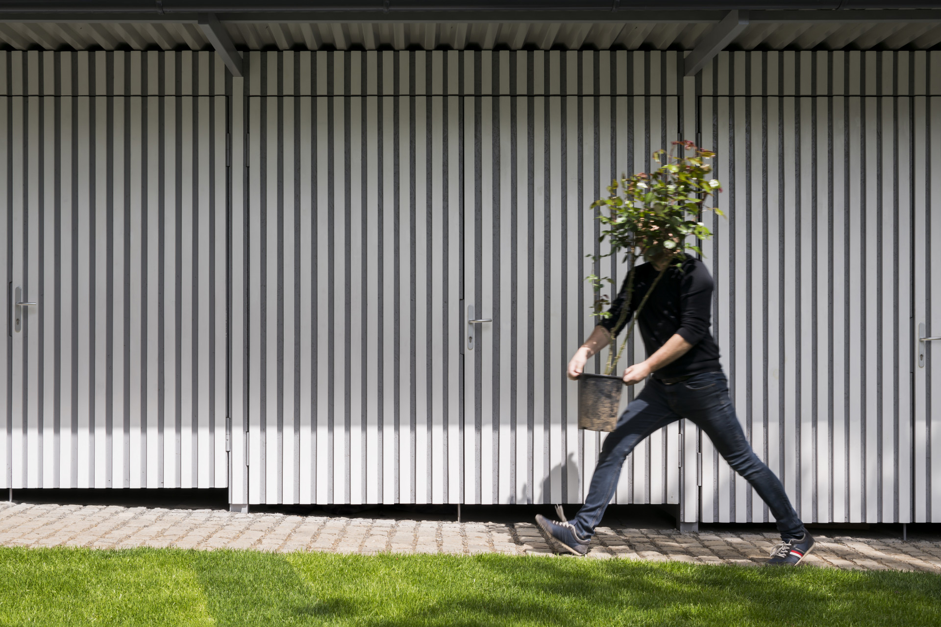 Pro M&T studio Flusser