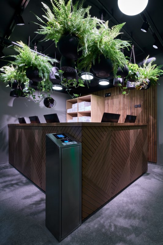 Wellness INFINIT v Senohrabech od studia Reaktor