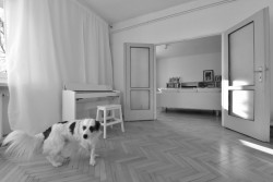 Původní stav, interiér