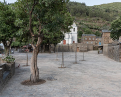 K původním stromům na návsi přibyly další, zůstal taky památník místního faráře.