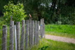 Povodňový park v Židlochovicích