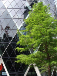 Okurka a spol. - foto