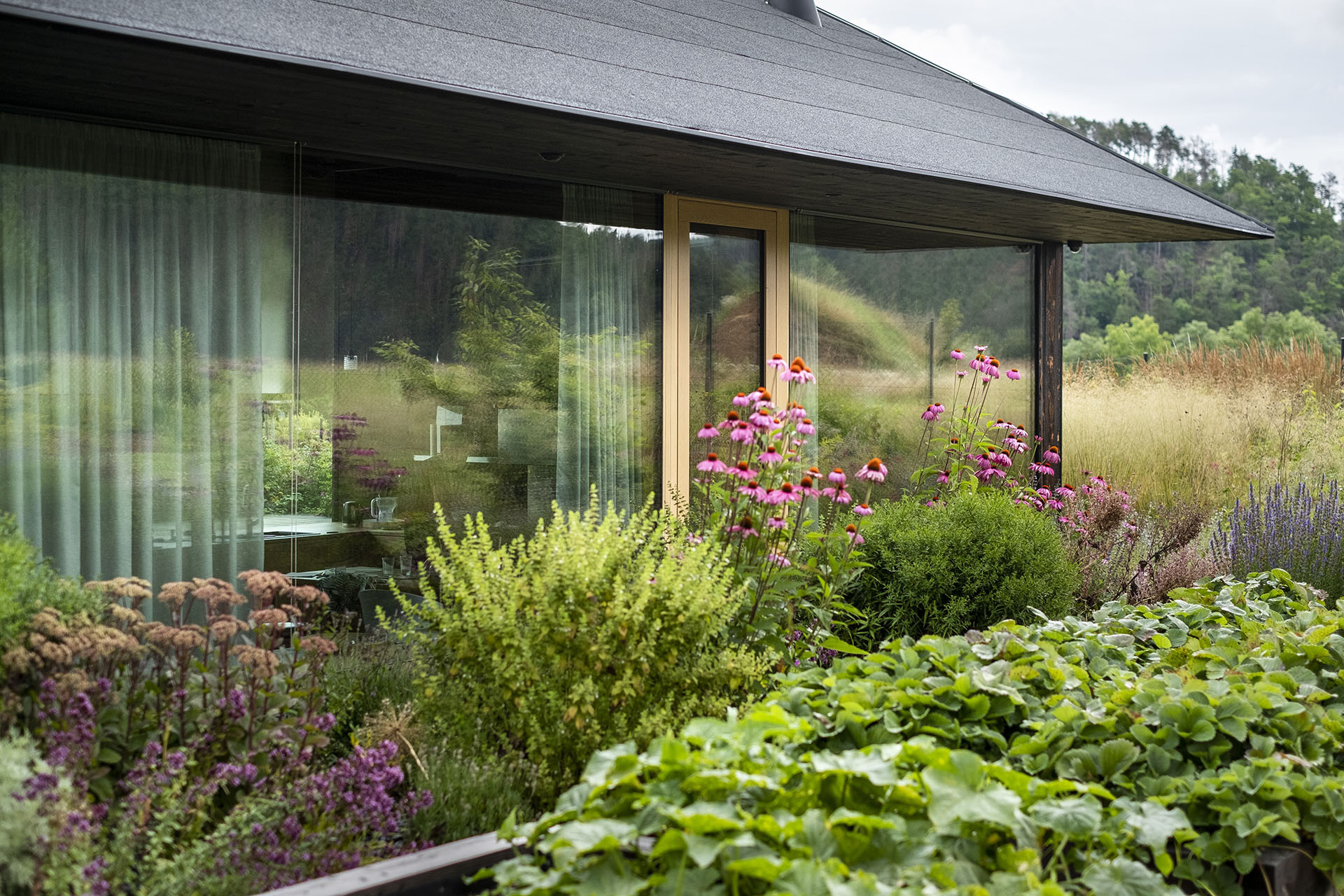 Zahrada rodinného domu u vodní nádrže Kamýk od Atelier Flera