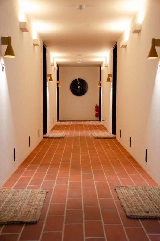 Vinařství Thaya od Jakub Cigler Architekti na jižní Moravě