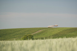 Stezka nad vinohrady, KEEO4DESIGN