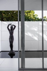 Mies Missing Materiality