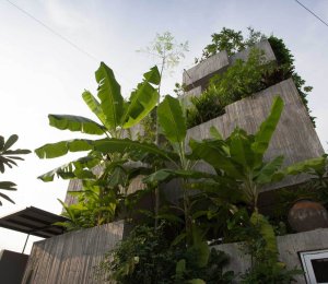 Rodinný dům Planter Box v Kuala Lumpur, Formzero