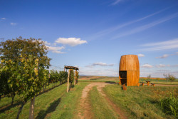 Dechberoucí krajina v okolí obce Šardice ji zařadila mezi 50 nejkrásnějších míst na Zemi dle časopisu Condé Nast Traveller