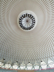 Small Sports Complex, Rome  (1956)