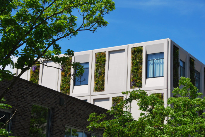 Zelené fasády dokáží regulovat teplotu vnitřních prostor budovy.