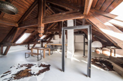 ORA, Jaro, léto, podzim, zima… a jaro – foto