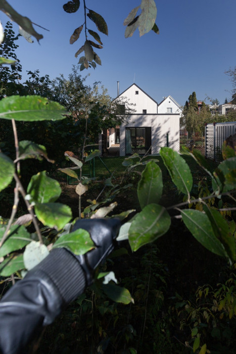 Dům před dvůr, DDAANN