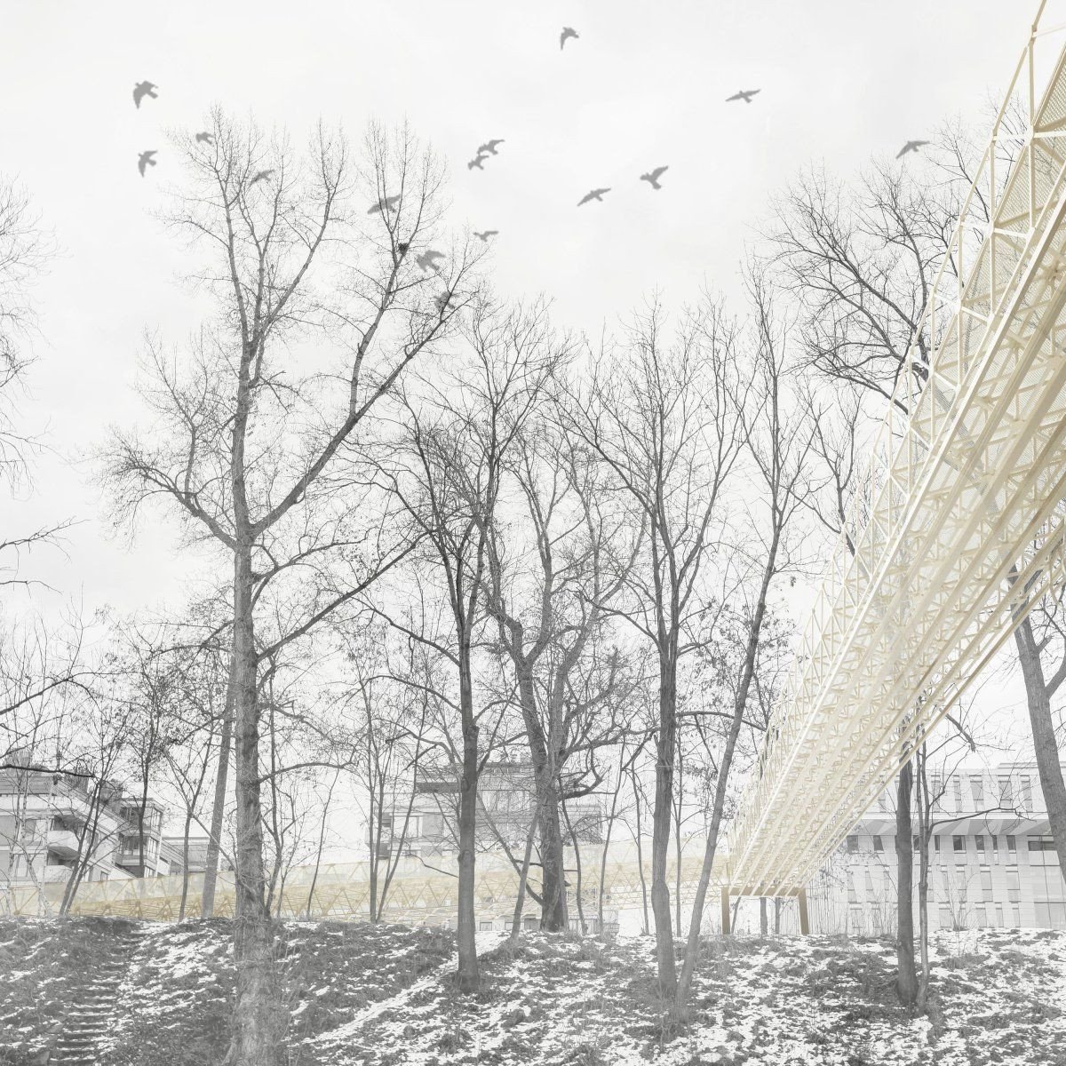 Odměna soutěže na lávku Holešovice-Karlín, vyústění Karlín, Petr Hájek architekti