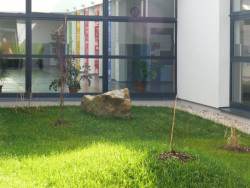 Projekční ateliér David, Rekonstrukce ZŠ a MŠ Helsinská - foto