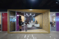 M+N Architecture, Viola Communications Office - foto