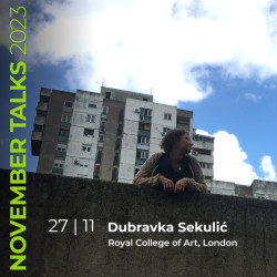 Teoretička a pedagožka Dubravku Sekulić je vedoucí programu MA City Design na londýnské Royal College of Art.