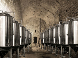 Jiří Gulbis, Kulturní okrsek města Úštěk, ležácký sklep - foto