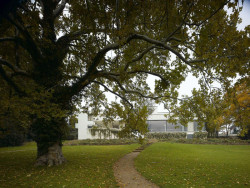 Marek Tichý / Milan Rak / Ivan Wahla / Tomáš Rusín / Petr Řehořka, Rekonstrukce vily Tugenhat v Brně – foto
