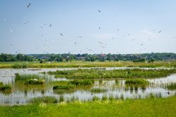 Nadace Partnerství zahájila přihlašování do pátého ročníku soutěže Adapterra Awards