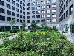 Modrozelené řešení ploché střechy dokáže snoubit výhody retenčních nádrží a zelených střech.