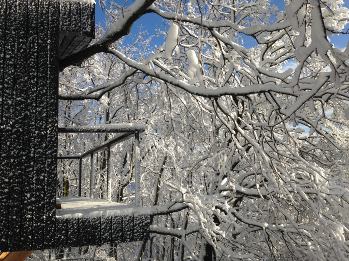 Tree-House DUBoDOM, ateliér StromDom